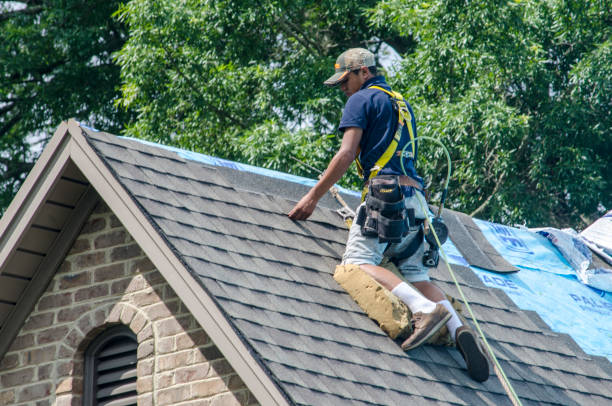 Best Storm Damage Roof Repair  in New Deal, TX